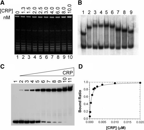https://cdn.ncbi.nlm.nih.gov/pmc/blobs/a967/2887952/5c009012c48e/gkq078f7.jpg
