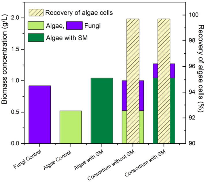 https://cdn.ncbi.nlm.nih.gov/pmc/blobs/a967/8949276/746a2982d693/membranes-12-00258-g003.jpg