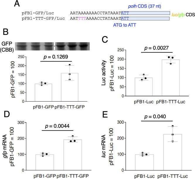 https://cdn.ncbi.nlm.nih.gov/pmc/blobs/a969/12093959/16fc1b961c9f/aem.00144-25.f004.jpg