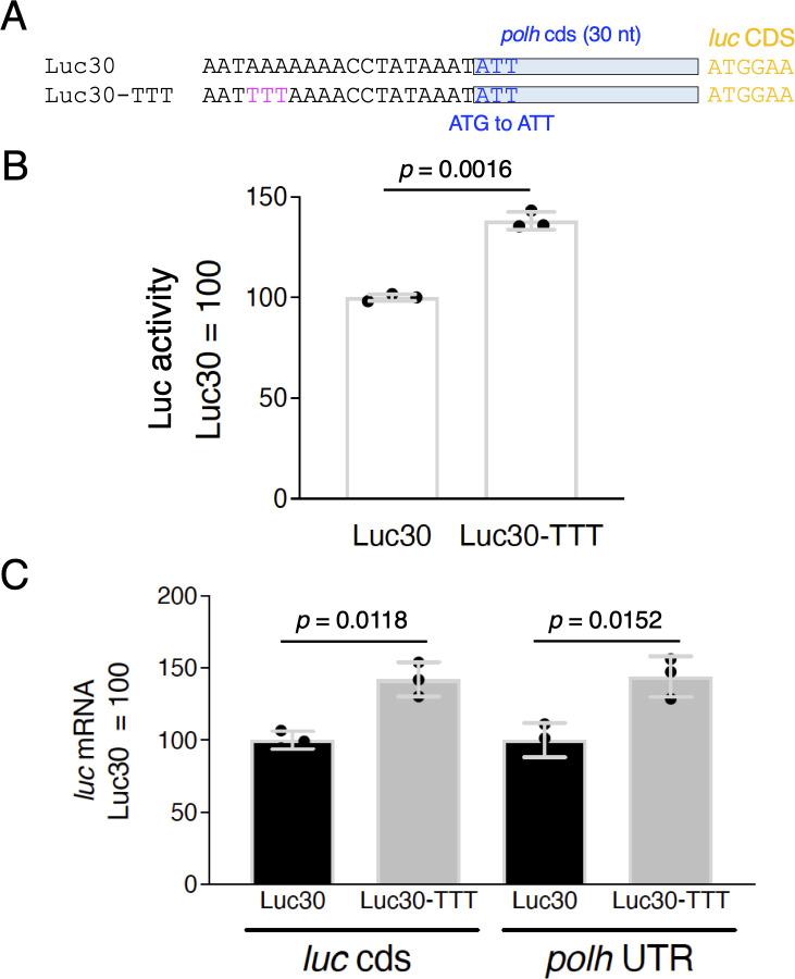 https://cdn.ncbi.nlm.nih.gov/pmc/blobs/a969/12093959/22c0b3117503/aem.00144-25.f003.jpg