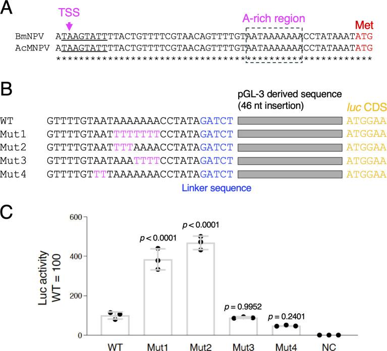 https://cdn.ncbi.nlm.nih.gov/pmc/blobs/a969/12093959/697afe6652f7/aem.00144-25.f001.jpg