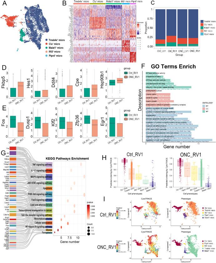 https://cdn.ncbi.nlm.nih.gov/pmc/blobs/a969/12118511/4bfc2db89cef/iovs-66-5-31-f007.jpg