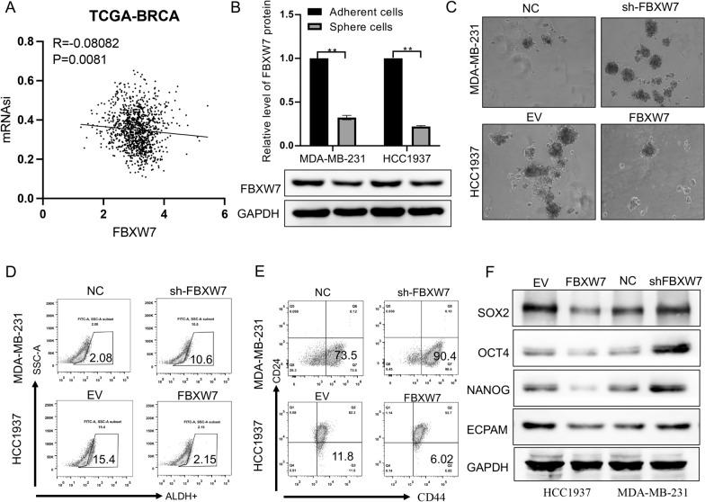 https://cdn.ncbi.nlm.nih.gov/pmc/blobs/a96b/10809768/10c85c6e6520/12967_2024_4897_Fig3_HTML.jpg