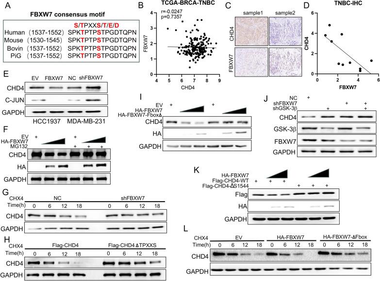 https://cdn.ncbi.nlm.nih.gov/pmc/blobs/a96b/10809768/6523a22f89b6/12967_2024_4897_Fig5_HTML.jpg