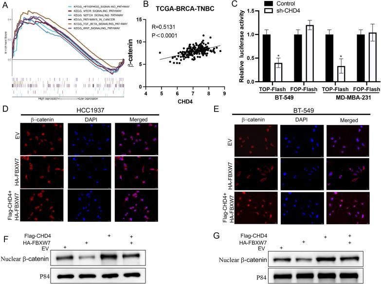 https://cdn.ncbi.nlm.nih.gov/pmc/blobs/a96b/10809768/b3f5ef8e077b/12967_2024_4897_Fig7_HTML.jpg