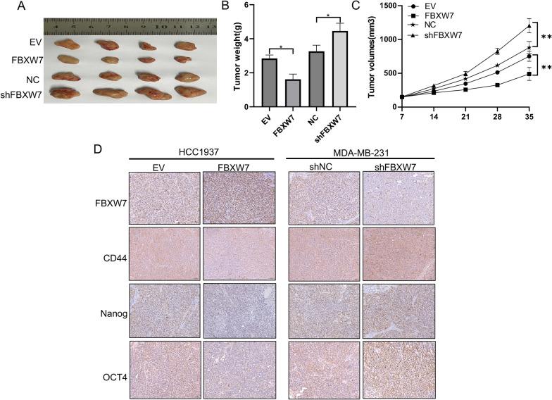 https://cdn.ncbi.nlm.nih.gov/pmc/blobs/a96b/10809768/c7ab6e5ccbd5/12967_2024_4897_Fig9_HTML.jpg