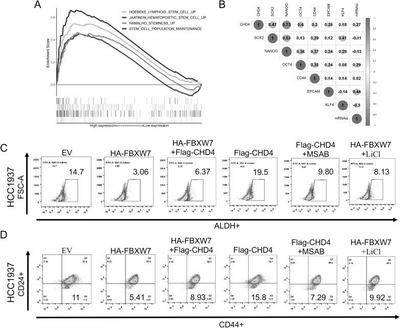 https://cdn.ncbi.nlm.nih.gov/pmc/blobs/a96b/10809768/d21eec2fd48a/12967_2024_4897_Fig8_HTML.jpg