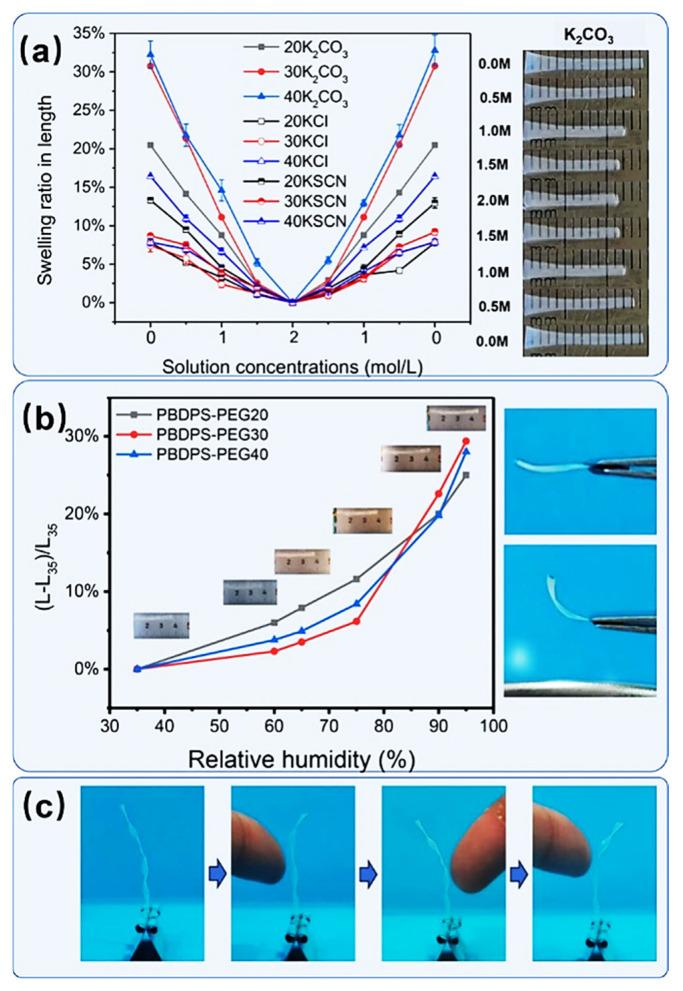 https://cdn.ncbi.nlm.nih.gov/pmc/blobs/a96e/12473343/4cd33fd70dd3/polymers-17-02444-g015.jpg