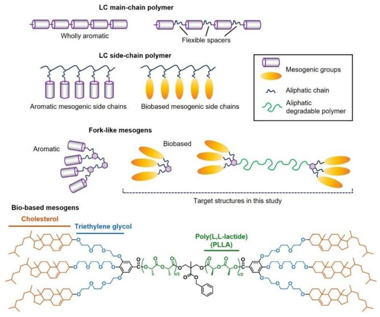 https://cdn.ncbi.nlm.nih.gov/pmc/blobs/a96e/12473343/a4f26c4f3288/polymers-17-02444-g005.jpg