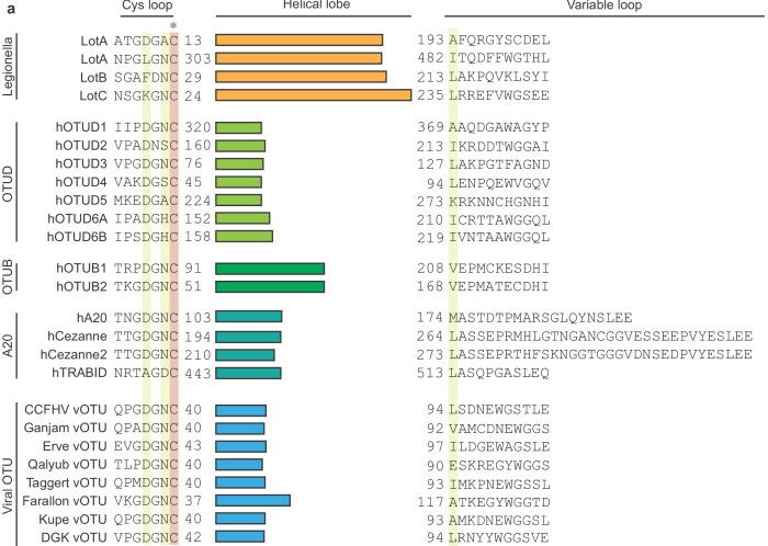 https://cdn.ncbi.nlm.nih.gov/pmc/blobs/a96e/7690952/18d3037dbdac/elife-58277-fig3-figsupp1.jpg