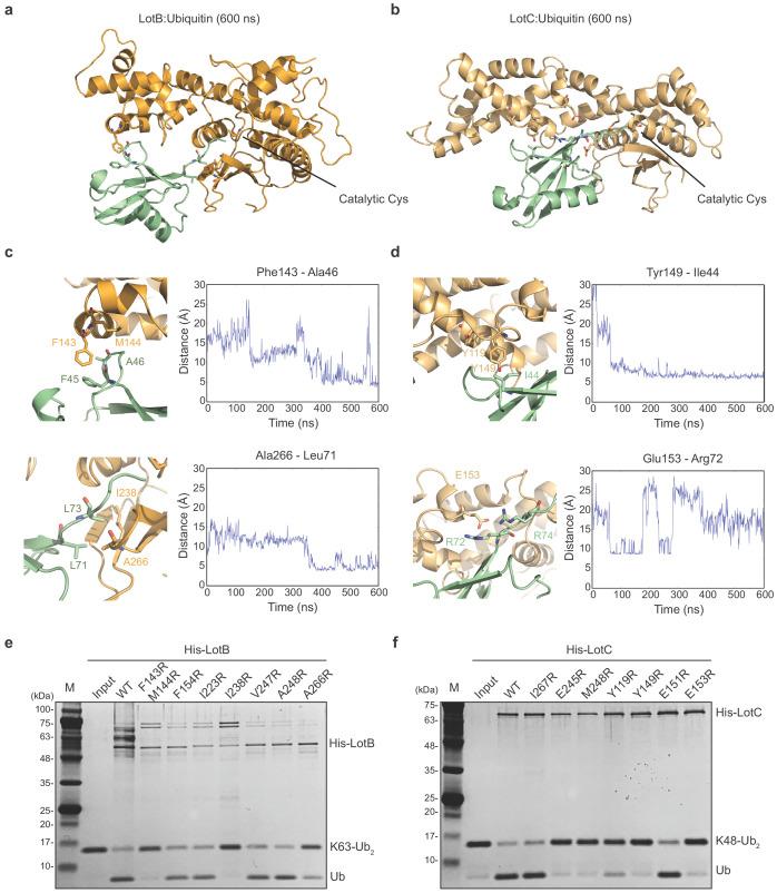 https://cdn.ncbi.nlm.nih.gov/pmc/blobs/a96e/7690952/a56454fcf569/elife-58277-fig4.jpg