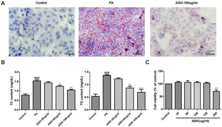 https://cdn.ncbi.nlm.nih.gov/pmc/blobs/a96e/8089473/c3bd106b4618/DMSO-14-1871-g0003.jpg