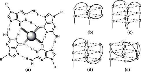 https://cdn.ncbi.nlm.nih.gov/pmc/blobs/a970/3044240/fea3482498b2/216_2010_4304_Fig4_HTML.jpg