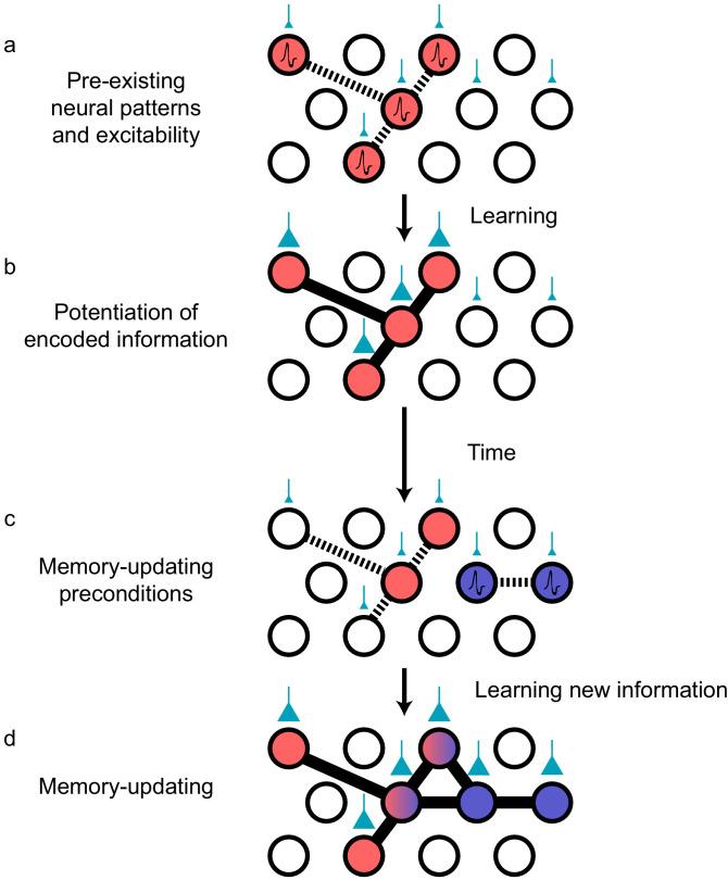 https://cdn.ncbi.nlm.nih.gov/pmc/blobs/a970/7771967/e9a3622fd719/elife-63550-fig3.jpg