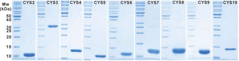 https://cdn.ncbi.nlm.nih.gov/pmc/blobs/a971/4144781/6d35be2e0cf7/exbotj_eru274_f0004.jpg