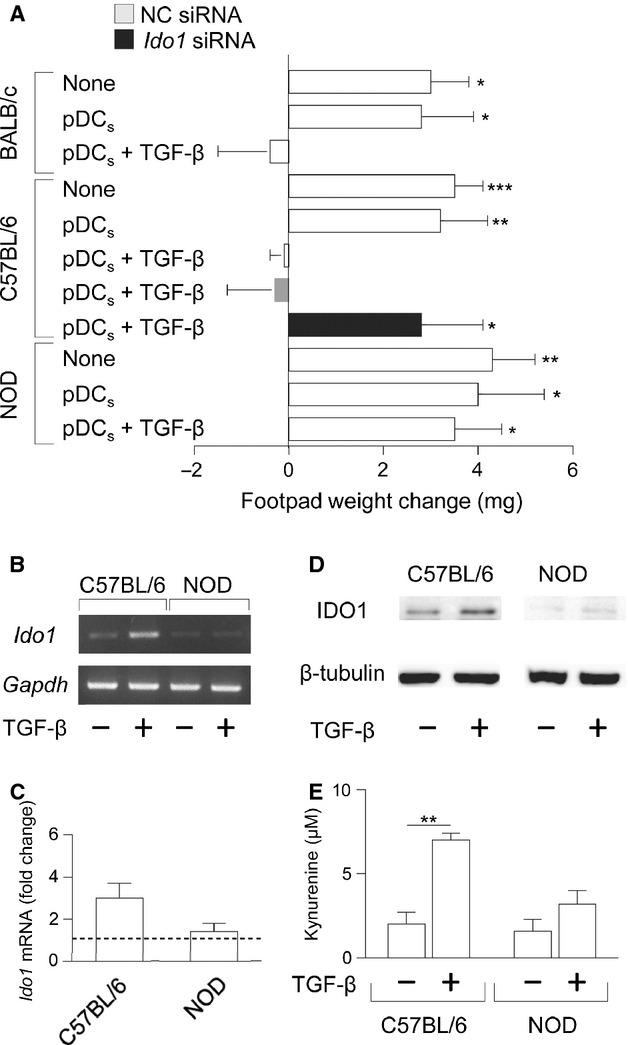 https://cdn.ncbi.nlm.nih.gov/pmc/blobs/a971/4244022/6cb1db9e6f24/jcmm0018-2082-f1.jpg