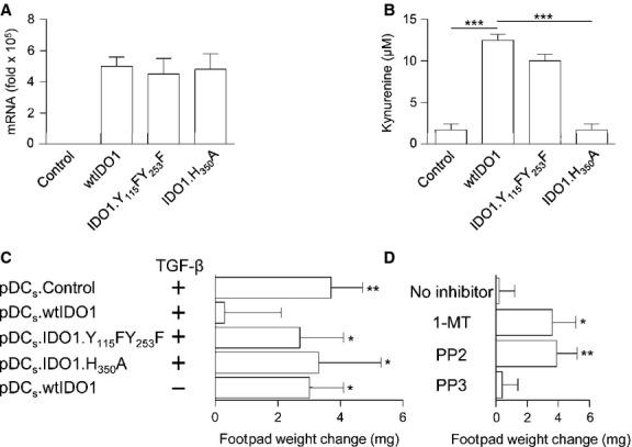 https://cdn.ncbi.nlm.nih.gov/pmc/blobs/a971/4244022/b55d86bfbb32/jcmm0018-2082-f2.jpg