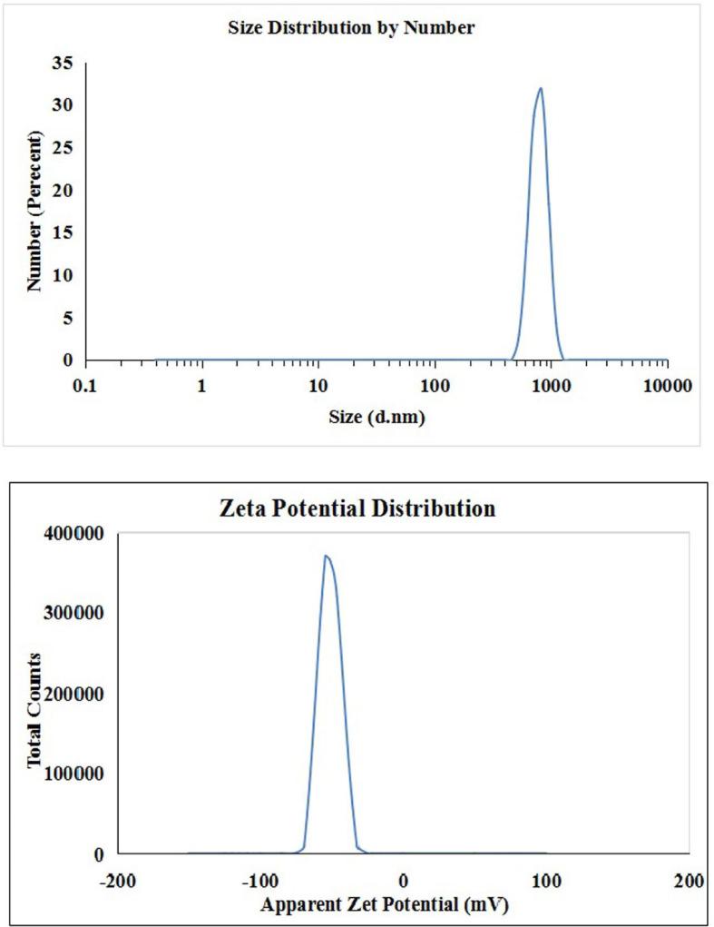 https://cdn.ncbi.nlm.nih.gov/pmc/blobs/a972/11718274/6c5096c66b3d/41598_2024_82376_Fig2_HTML.jpg