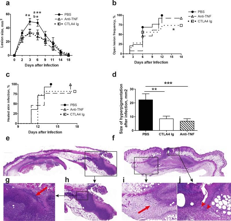 https://cdn.ncbi.nlm.nih.gov/pmc/blobs/a972/5338833/71b1d4c63fa9/pone.0173492.g001.jpg