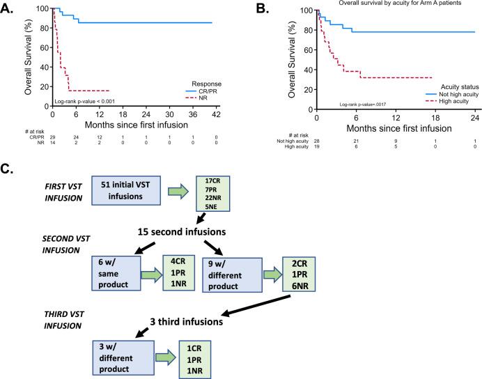 https://cdn.ncbi.nlm.nih.gov/pmc/blobs/a976/11026387/a50129b40131/41467_2024_47057_Fig3_HTML.jpg