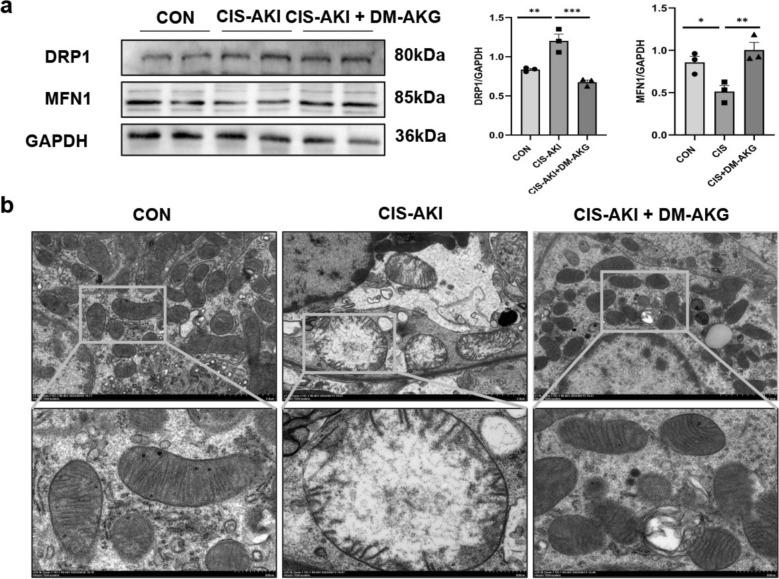 https://cdn.ncbi.nlm.nih.gov/pmc/blobs/a976/12345039/12f8e3e085bc/40001_2025_3010_Fig6_HTML.jpg