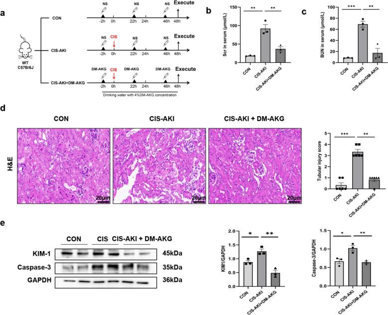 https://cdn.ncbi.nlm.nih.gov/pmc/blobs/a976/12345039/5b883e3317ea/40001_2025_3010_Fig2_HTML.jpg