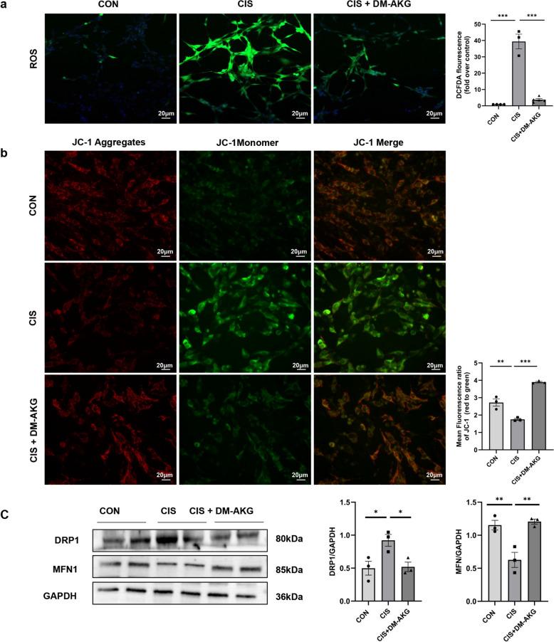 https://cdn.ncbi.nlm.nih.gov/pmc/blobs/a976/12345039/67241bc6427e/40001_2025_3010_Fig5_HTML.jpg