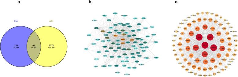https://cdn.ncbi.nlm.nih.gov/pmc/blobs/a976/12345039/af5051fe7dd7/40001_2025_3010_Fig3_HTML.jpg