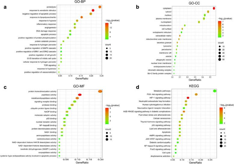 https://cdn.ncbi.nlm.nih.gov/pmc/blobs/a976/12345039/de793f787387/40001_2025_3010_Fig4_HTML.jpg