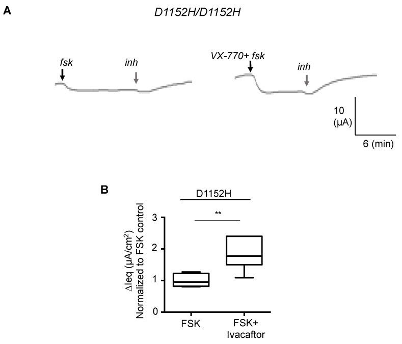 https://cdn.ncbi.nlm.nih.gov/pmc/blobs/a977/7354675/f071eb14cc20/jpm-10-00040-g004.jpg