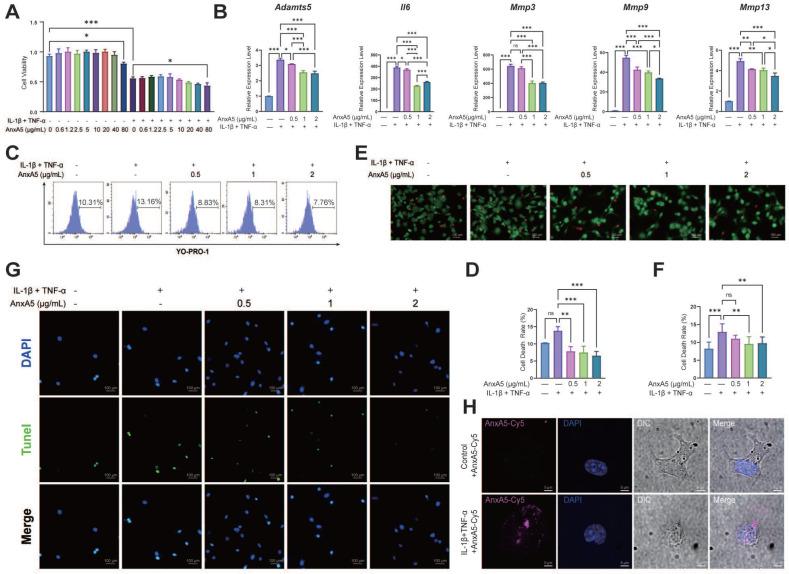 https://cdn.ncbi.nlm.nih.gov/pmc/blobs/a97a/11186356/e806a156f24b/ijbsv20p2994g007.jpg