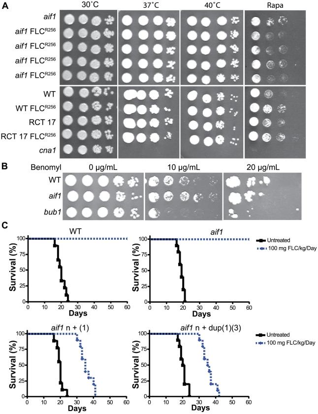 https://cdn.ncbi.nlm.nih.gov/pmc/blobs/a97c/3219705/205e849b7e0c/ppat.1002364.g003.jpg