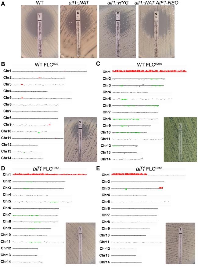 https://cdn.ncbi.nlm.nih.gov/pmc/blobs/a97c/3219705/ac54baadd729/ppat.1002364.g002.jpg