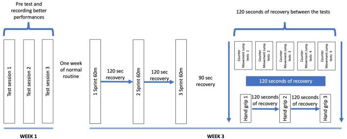 https://cdn.ncbi.nlm.nih.gov/pmc/blobs/a97c/9452805/b75cd0139b44/fphys-13-984305-g001.jpg