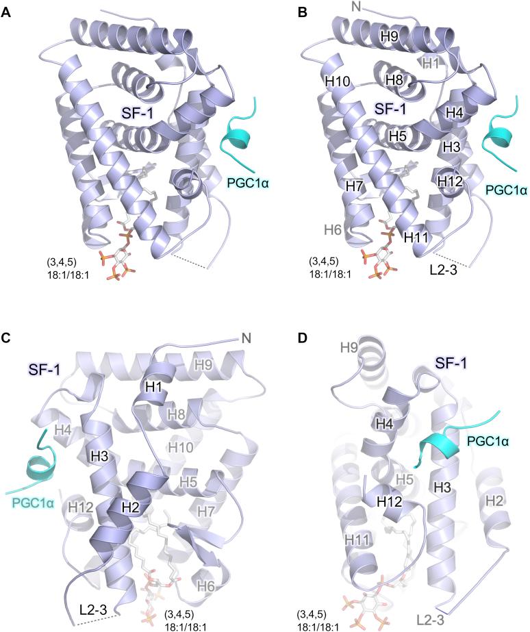 https://cdn.ncbi.nlm.nih.gov/pmc/blobs/a97e/8178125/3407c7150fb0/gr3.jpg