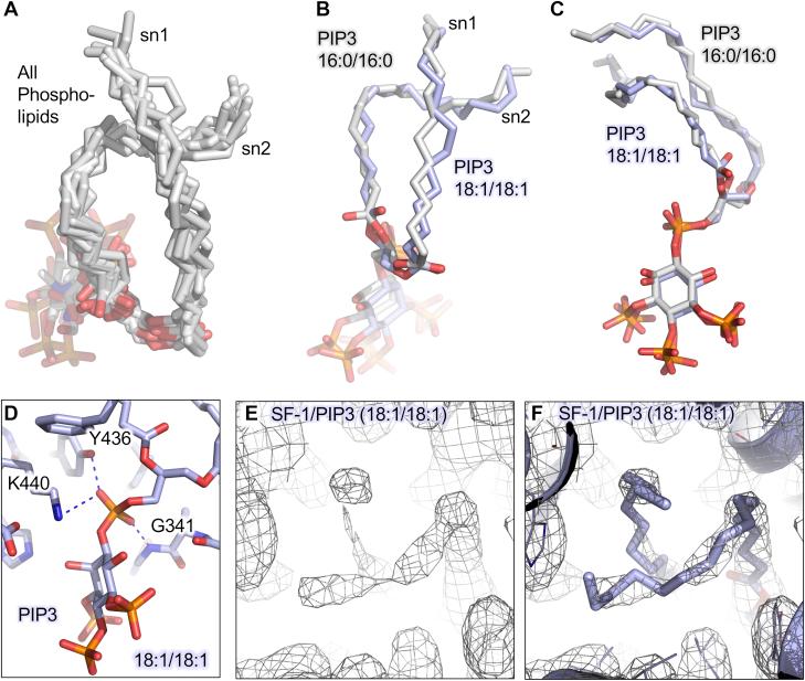 https://cdn.ncbi.nlm.nih.gov/pmc/blobs/a97e/8178125/ad748a4a28f4/gr4.jpg