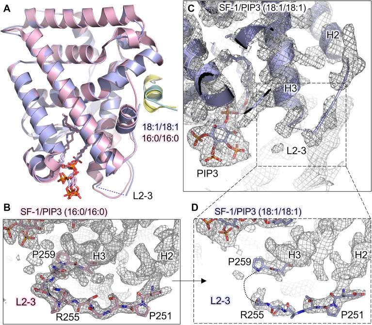 https://cdn.ncbi.nlm.nih.gov/pmc/blobs/a97e/8178125/cc37b17ae258/gr5.jpg