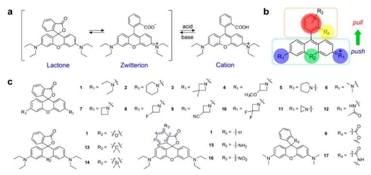 https://cdn.ncbi.nlm.nih.gov/pmc/blobs/a981/7766215/05b3d36f5c63/molecules-25-05964-g032.jpg