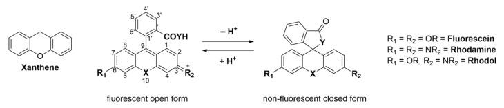 https://cdn.ncbi.nlm.nih.gov/pmc/blobs/a981/7766215/100bd6dee523/molecules-25-05964-sch001.jpg