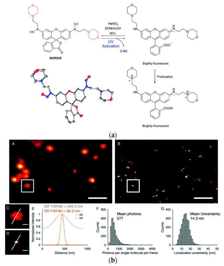 https://cdn.ncbi.nlm.nih.gov/pmc/blobs/a981/7766215/274b5fa84317/molecules-25-05964-g020.jpg