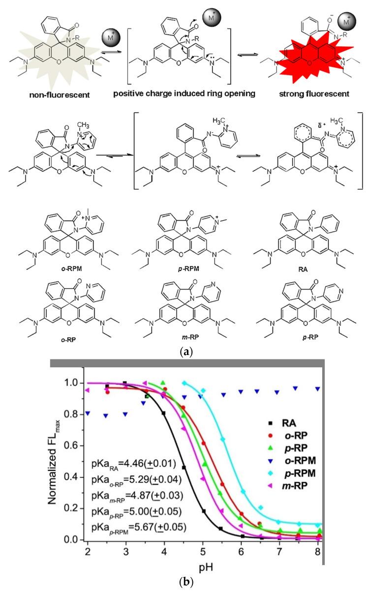 https://cdn.ncbi.nlm.nih.gov/pmc/blobs/a981/7766215/37609ebe987d/molecules-25-05964-g008.jpg