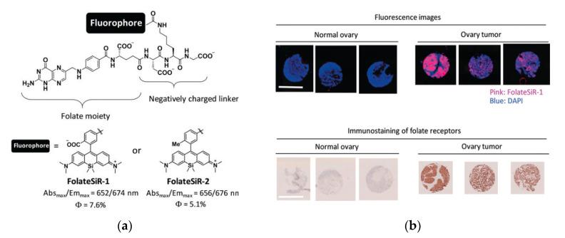 https://cdn.ncbi.nlm.nih.gov/pmc/blobs/a981/7766215/47c679e7a99d/molecules-25-05964-g014.jpg