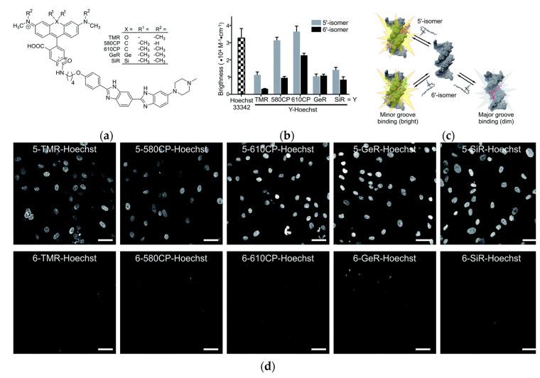 https://cdn.ncbi.nlm.nih.gov/pmc/blobs/a981/7766215/4bcf9f0b46b4/molecules-25-05964-g009.jpg