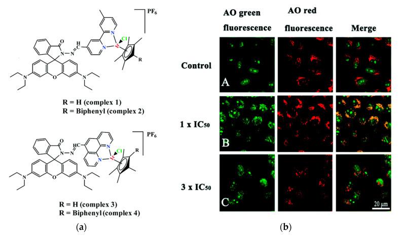https://cdn.ncbi.nlm.nih.gov/pmc/blobs/a981/7766215/4f994de5b5bf/molecules-25-05964-g012.jpg