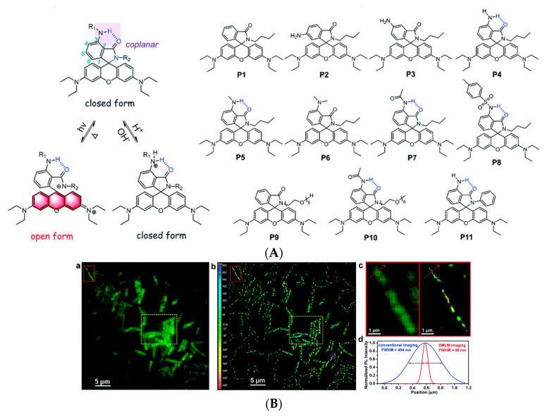 https://cdn.ncbi.nlm.nih.gov/pmc/blobs/a981/7766215/56a434a83ee6/molecules-25-05964-g021.jpg