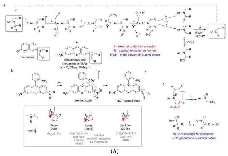 https://cdn.ncbi.nlm.nih.gov/pmc/blobs/a981/7766215/5de3a39a8567/molecules-25-05964-g025a.jpg