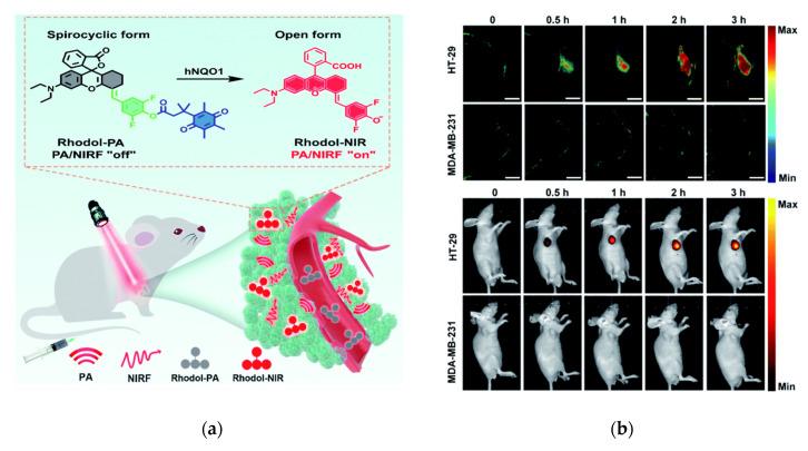 https://cdn.ncbi.nlm.nih.gov/pmc/blobs/a981/7766215/935205259330/molecules-25-05964-g007.jpg