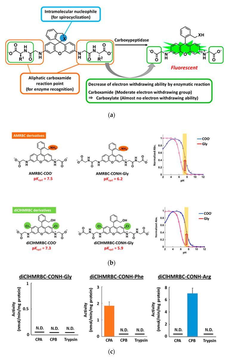 https://cdn.ncbi.nlm.nih.gov/pmc/blobs/a981/7766215/96a10ff87b1f/molecules-25-05964-g004.jpg
