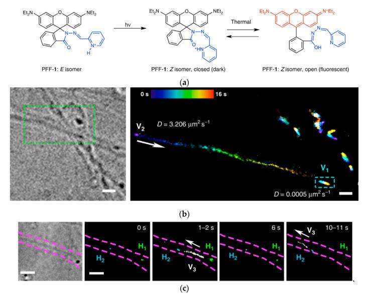 https://cdn.ncbi.nlm.nih.gov/pmc/blobs/a981/7766215/99139c3f6d8d/molecules-25-05964-g022.jpg
