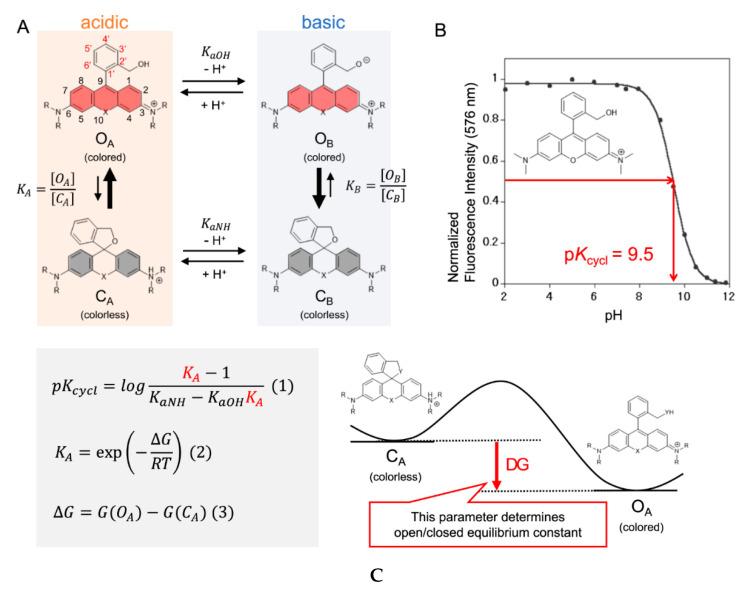 https://cdn.ncbi.nlm.nih.gov/pmc/blobs/a981/7766215/9b78d8c62178/molecules-25-05964-g029.jpg